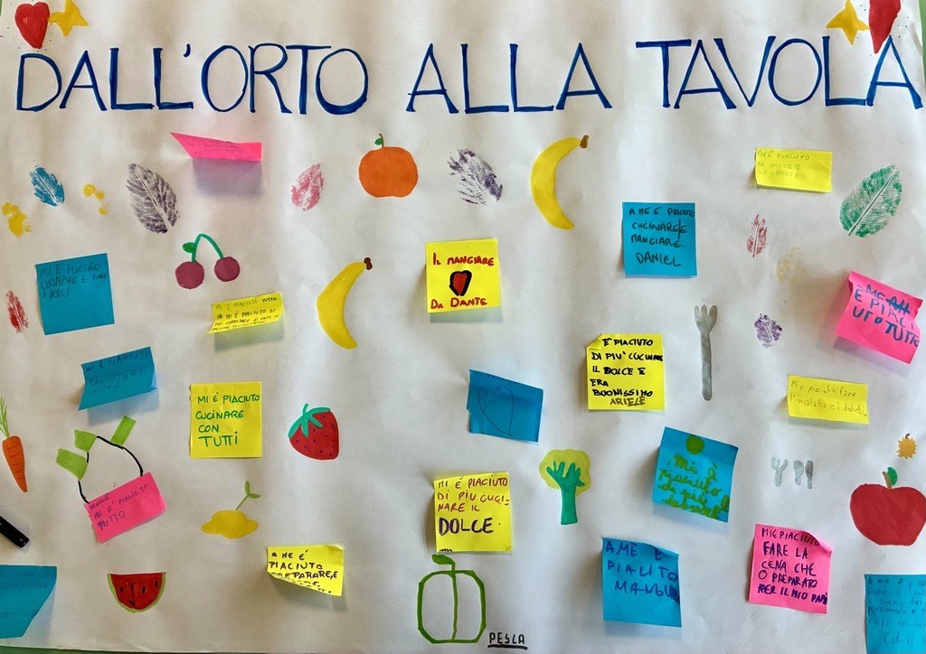 OrtotavolanewsMatteucci